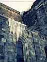 Picture 070